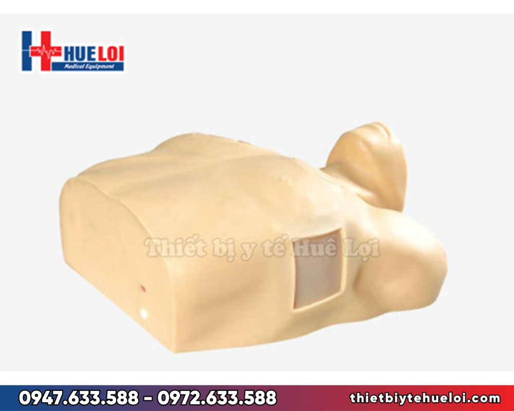 Mô hình chọc dẫn lưu tràn dịch tràn khí màng phổi